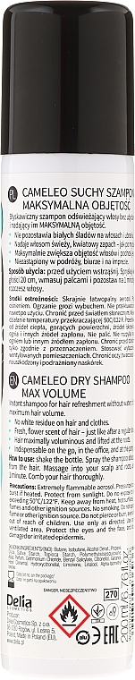 Hair Dry Shampoo - Delia Cameleo Dry Shampoo — photo N2