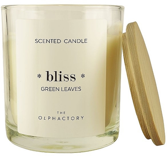 Scented Candle - Ambientair The Olphactory Bliss Green Leaves Candle — photo N1