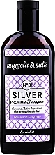 Fragrances, Perfumes, Cosmetics Gray & Bleached Hair Shampoo - Nuggela & Sule Premium Silver N?3 Shampoo