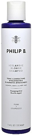 Brightening Shampoo - Philip B Icelandic Blonde Shampoo — photo N1