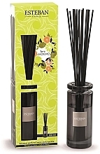 Esteban Terre D'Agrumes - Fragrance Diffuser — photo N1