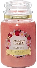 Fragrances, Perfumes, Cosmetics Scented Candle in Jar - Yankee Candle Salt Mist Rose Limited Edition