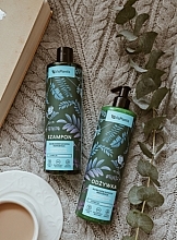 Shampoo - Vis Plantis Herbal Vital Care Shampoo For Dry And Matt Hair — photo N4