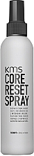Protective Hair Spray - KMS California Head Remedy Core Reset Spray — photo N1