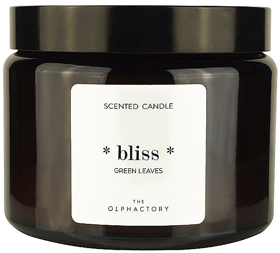 Scented Candle in a Jar - Ambientair The Olphactory Bliss Green Leaves Candle — photo N1
