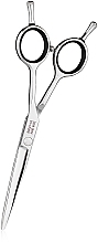 Hairdressing Scissors, 5,5 - SPL Professional Hairdressing Scissors 90001-55 — photo N1