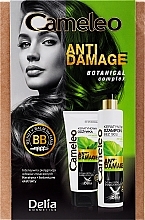 Fragrances, Perfumes, Cosmetics Set - Delia Cameleo Anti Damage (shm/250ml + cond/200ml)