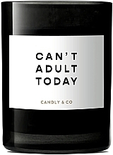 Scented Candle - Candly & Co No.1 Can’t Adult Today — photo N2