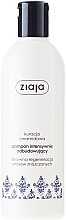 Fragrances, Perfumes, Cosmetics Repair Hair Shampoo - Ziaja Shampoo