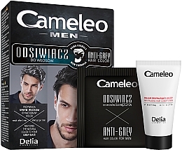 Anti-Grey Color for Black Hair - Delia Cameleo Men Anti Grey Hair Color — photo N1