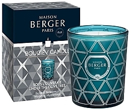 Fragrances, Perfumes, Cosmetics Maison Berger Under The Olive Tree - Scented Candle