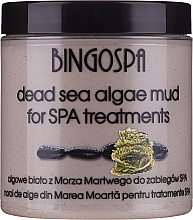 Fragrances, Perfumes, Cosmetics Mud Mask with Dead Sea Algae - BingoSpa