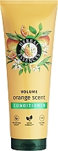 オレンジ ボリューマイジング コンディショナー - Herbal Essences Volume Orange Scent Conditioner — photo N2