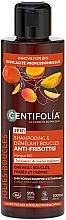 Shampoo for Frizzy & Unruly Hair - Centifolia Anti-Frizz Curls Shampoo & Detangler Curly and Frizzy Hair — photo N1