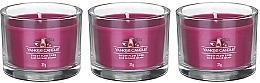 Scented Candle Set "Sweet Plum Sake" - Yankee Candle Sweet Plum Sake (candle/3x37g) — photo N7