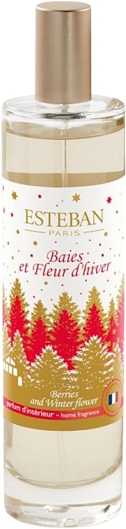 Esteban Berries And Winter Flower - Scented Home Spray — photo N1