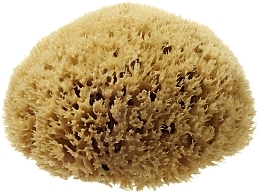 Fragrances, Perfumes, Cosmetics Natural Sea Sponge 'Honeycomb Sea Sponge', 10.16 cm - Hydrea London