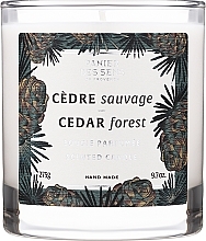 Scented Candle in Glass "Cedar Forest" - Panier Des Sens Scented Candle Cedar Forest — photo N2