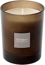 Esteban Ambre - Scented Candle — photo N2