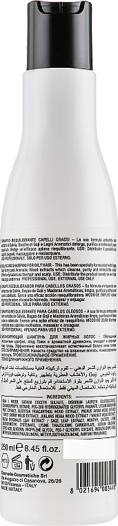 Balancing Shampoo for Oily Hair - Pura Kosmetica Pure Balance Shampoo — photo N2
