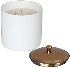 Scented Candle 'Tobacco & Vanilla', 3 wicks - Paddywax Hygge Ceramic Candle White Tobacco & Vanilla — photo N3