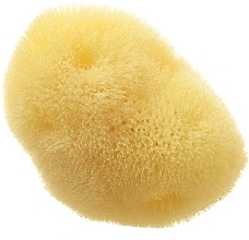 Natural Sea Sponge 'Fina Silk Sea Sponge, 9 cm - Hydrea London Mediterranean Origin — photo N1
