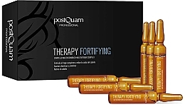 Multivitamin Complex Hair Ampoules - PostQuam Therapy Fortifying Multivitamin Complex — photo N1