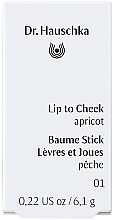 Blush Stick - Dr. Hauschka Lip To Cheek — photo N3