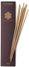 Esteban Legendes d'Orient Indian Incenses - Incense Sticks — photo N1