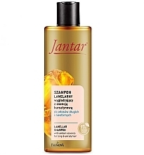 Fragrances, Perfumes, Cosmetics Amber Essence Shampoo for Long & Unruly Hair - Farmona Jantar Lamellar Shampoo