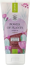 Fragrances, Perfumes, Cosmetics Smoothing Body Scrub - Lirene Power Of Plants Opuncja Washing Scrub