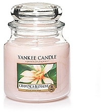 Fragrances, Perfumes, Cosmetics Scented Candle - Yankee Candle Medium Champaca Blossom