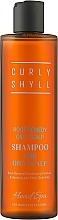 Shampoo for Oily Scalp - Curly Shyll Root Remedy Oily Scalp Shampoo — photo N1