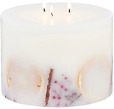 Noble Isle Fireside Botanical Scented Candle - Scented Candle with Three Wicks — photo N1