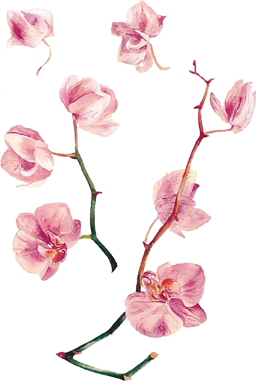 Orchid Flash Tattoo - Arley Sign — photo N7