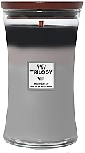 Fragrances, Perfumes, Cosmetics Scented Candle with Trio Scent - Woodwick Large Trilogy Mountain Air