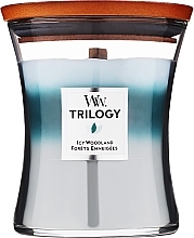 Fragrances, Perfumes, Cosmetics Scented Candle - WoodWick Trilogy Icy Woodland