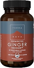 Fragrances, Perfumes, Cosmetics Fermented Ginger - Terranova Fermented Ginger