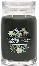 Fragrances, Perfumes, Cosmetics Scented Candle in Jar 'Silver Sage & Pine', 2 wicks - Yankee Candle Singnature