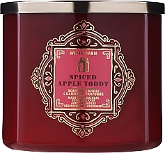 Fragrances, Perfumes, Cosmetics 3-Wick Scented Candle - Bath and Body White Barn Spiced Apple Toddy Scented Candle