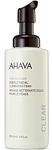 Cleansing Facial Foam - Ahava Time to Clear Gentle Facial Cleansing Foam — photo N1