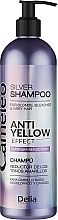 Fragrances, Perfumes, Cosmetics Blonde Hair Shampoo "Silver" - Delia Cosmetics Cameleo Silver Shampoo