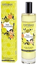 Esteban Terre D'Agrumes - Scented Home Spray — photo N1