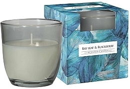 Fragrances, Perfumes, Cosmetics Bay Leaf & Blackberry Scented Candle in Glass - Bispol Premium Line Scented Candle