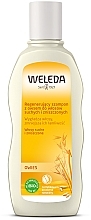 Fragrances, Perfumes, Cosmetics Oats Extract Shampoo - Weleda Hafer Aufbau-Shampoo