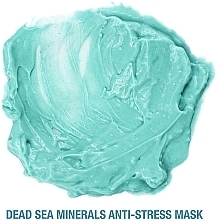 Anti-Stress Facial Mask "Dead Sea Minerals" - Freeman Feeling Beautiful Dead Sea Minerals Anti-Stress Mask — photo N2