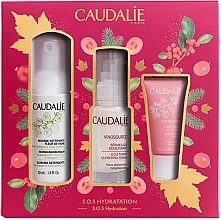 Fragrances, Perfumes, Cosmetics Set - Caudalie Vinosource S.O.S Serum Gift Set (foam/50ml + sorbet/15ml + ser/30ml)