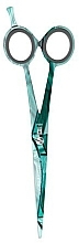 Fragrances, Perfumes, Cosmetics Hairdressing Scissors 82055-2, 5.5, Turquoise - White Rose Line Art Glass