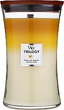 Fragrances, Perfumes, Cosmetics Scented Candle with Trio Scent - Woodwick Large Trilogy Fruits Of Summer