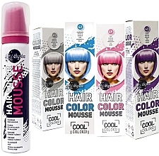 Hair Coloring Mousse - Elysee Hair Color Mousse — photo N24